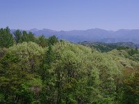 彼方は奥志賀連峰