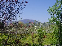 斑尾山
