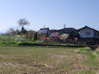 まるで、三春