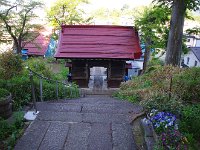 IMG 9647