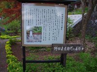IMG 9648