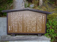 IMG 9706