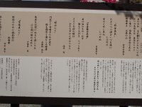 IMG 9721