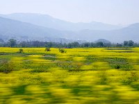 IMG 9742