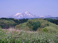 IMG 9758