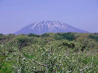 IMG 9759