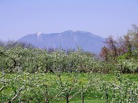 IMG 9761
