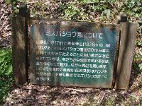 IMG 9794