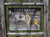 水芭蕉園