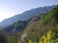 IMG 9805