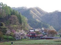 朝の景色