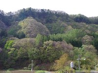 當に萌え出る景色
