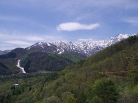 萌え出る新芽