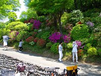 撮り飽きない人