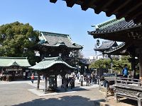 中からはこんな風に見えます