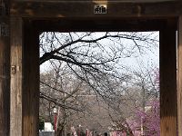 三門より塔頭を望む