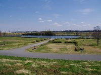 拾い江戸川の河川敷