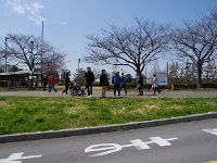 昼にはチョット早いので、土手にやってきました