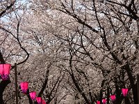 當にお祭り気分
