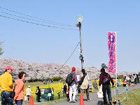 イイ所に停められました！