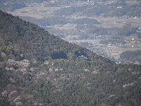 ホテルより、寺を望む・・・見えるのです！