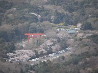 眼下に、大きな鳥居