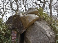 がま石とか・・・見えないことも無い？