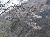 満足して、戻ります。