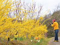 DSC 0589
