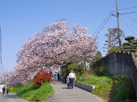権現堂の堤の端部
