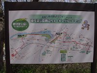 広いこと！