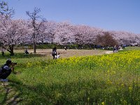 IMG 3675