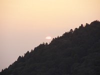 IMG 3720