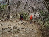 又、登るの？