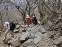 杖を頼りに！！
