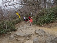 IMG 3873