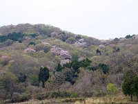 當に、里山の春