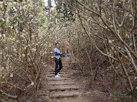 IMG 3931