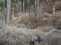 IMG 3985