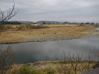 朝の景色・・・しらさぎが一羽