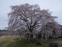 IMG 4070