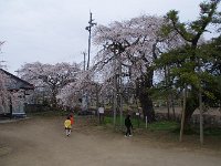お天気が・・・残念