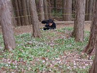 IMG 4117