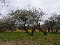 IMG 4180