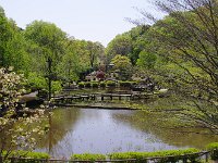 薬師池公園・・・春一色！