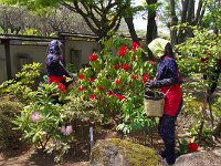 格好がイイですね