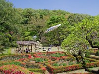 當に、五月晴れ！