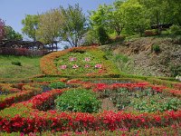 最盛期でしょう！