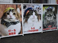 ヒデ君、どれがお好み？