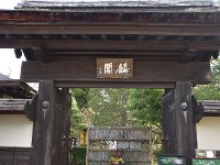 DSC 4451